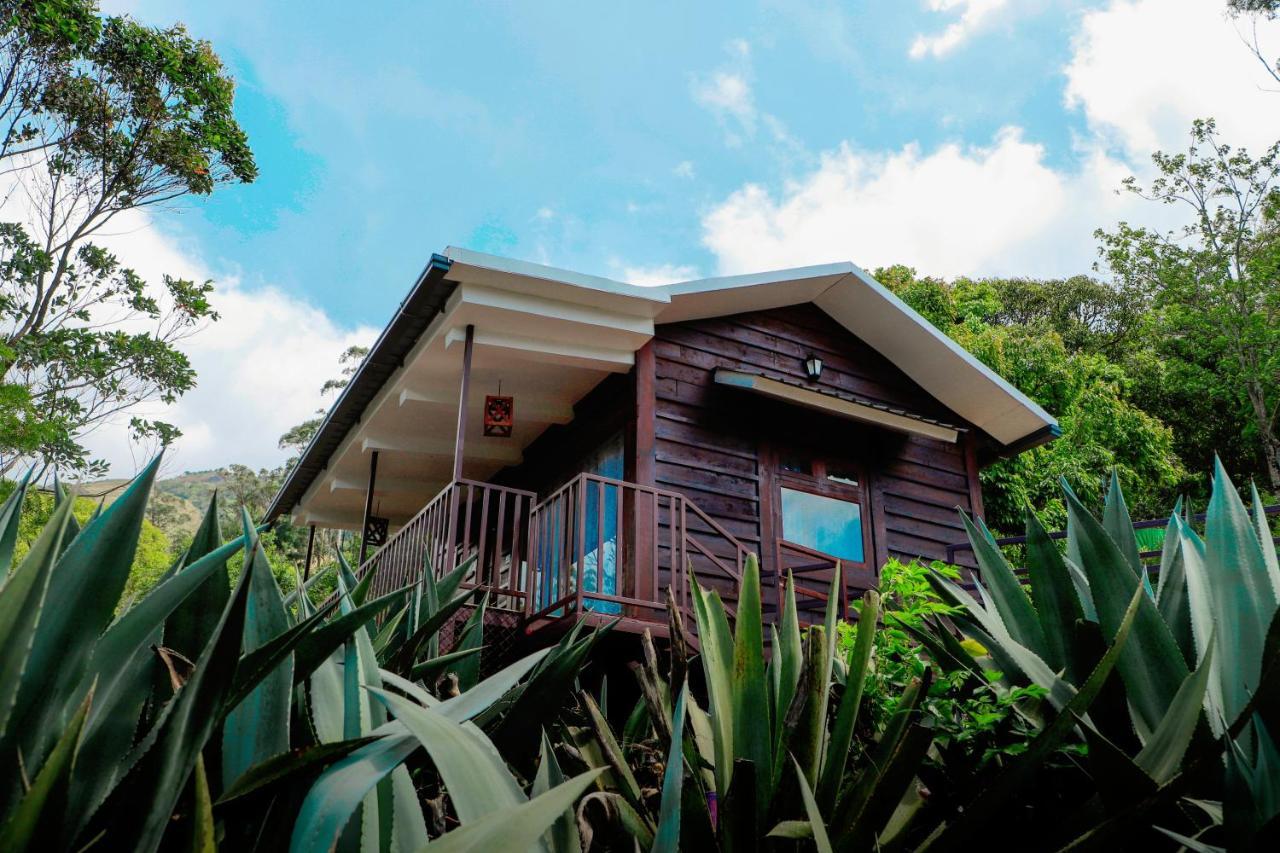 Wild Orchid Eco Tourism มุนนาร์ ภายนอก รูปภาพ